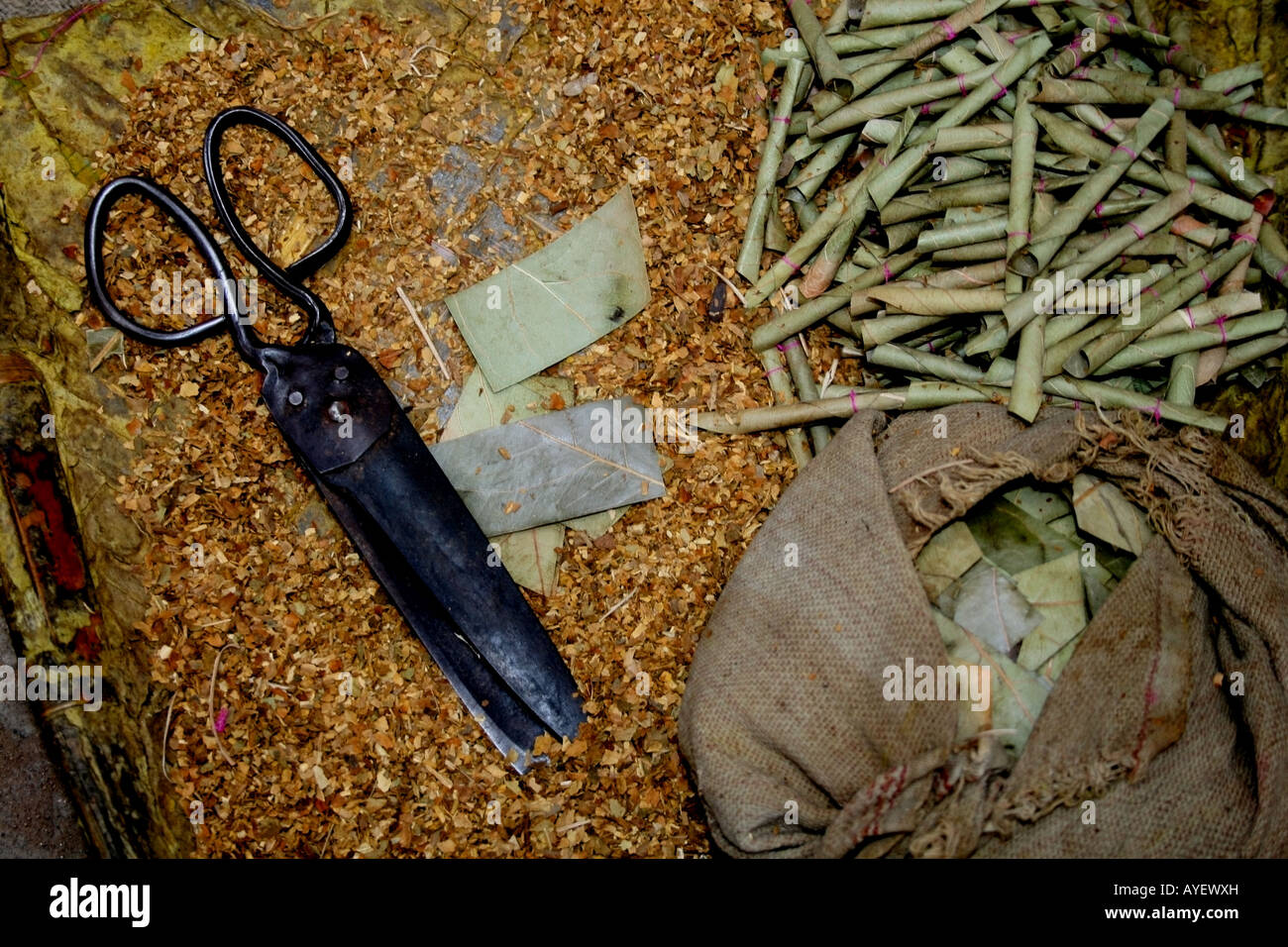 Ingredients used to make Indian beedi cigarettes, Tamil Nadu, India Stock Photo, Royalty Free