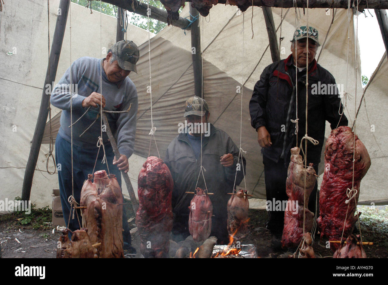 How to Cook Moose Meat pictures How to Cook Moose Meat pictures