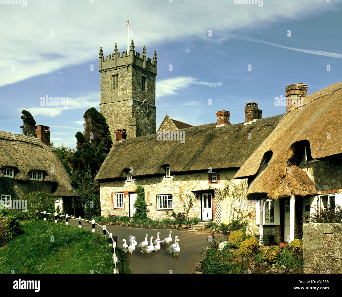 GB ISLE OF WIGHT Godshill Village Stock Photo Alamy