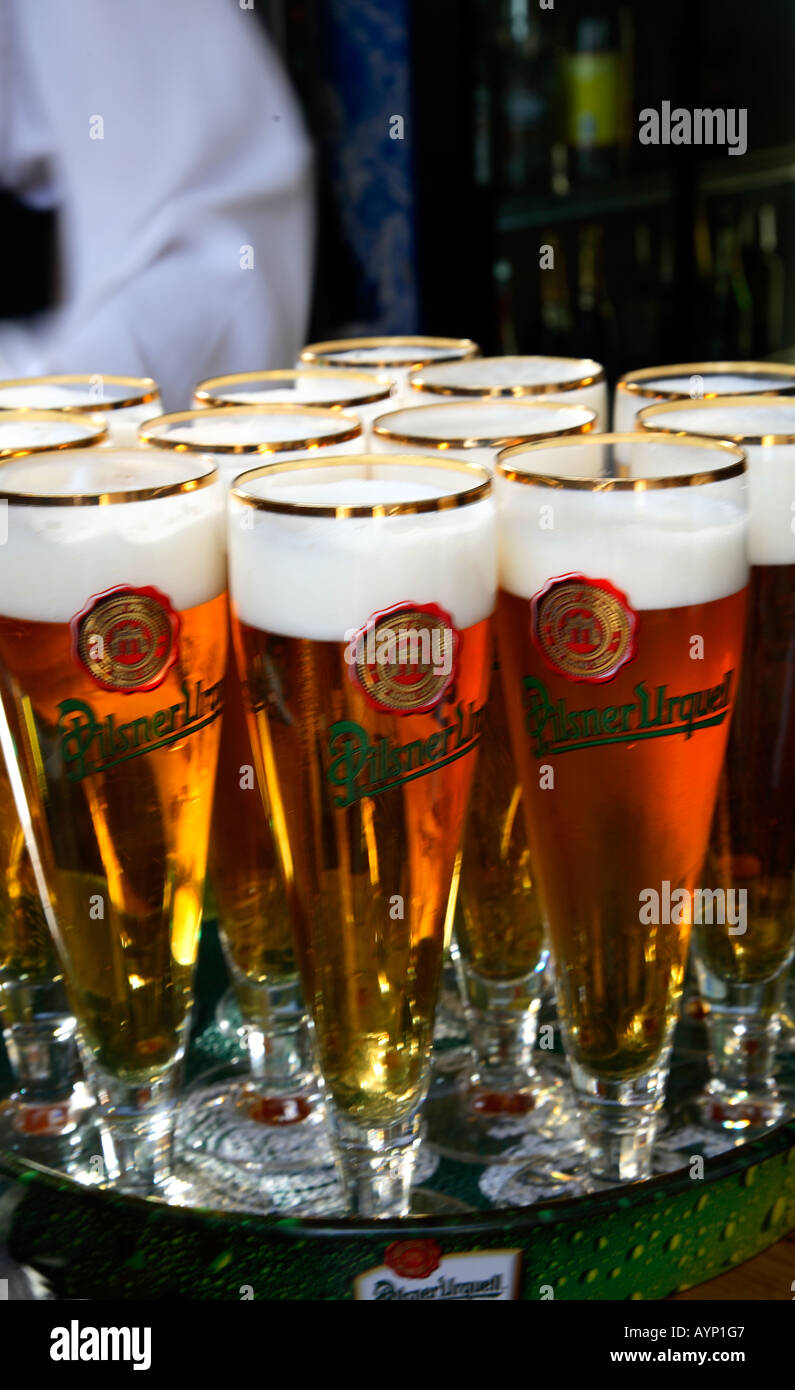 Beer czech beer Pilsner Urquell beer glasses Stockfoto, Lizenzfreies