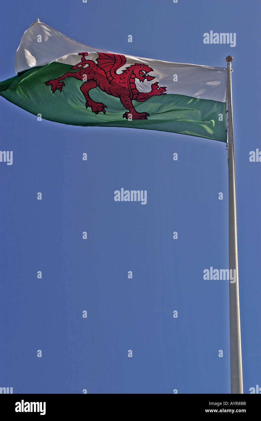 Welsh National Flag Cardiff Castle Wales UK Stock Photo Alamy