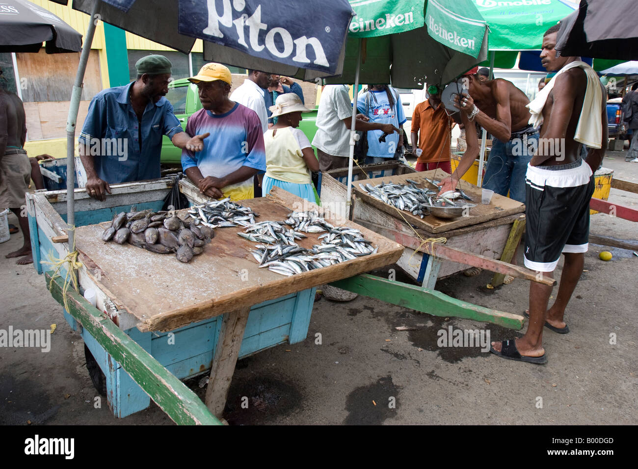 Fish Market Castries, St Lucia Stock Photo, Royalty Free Image