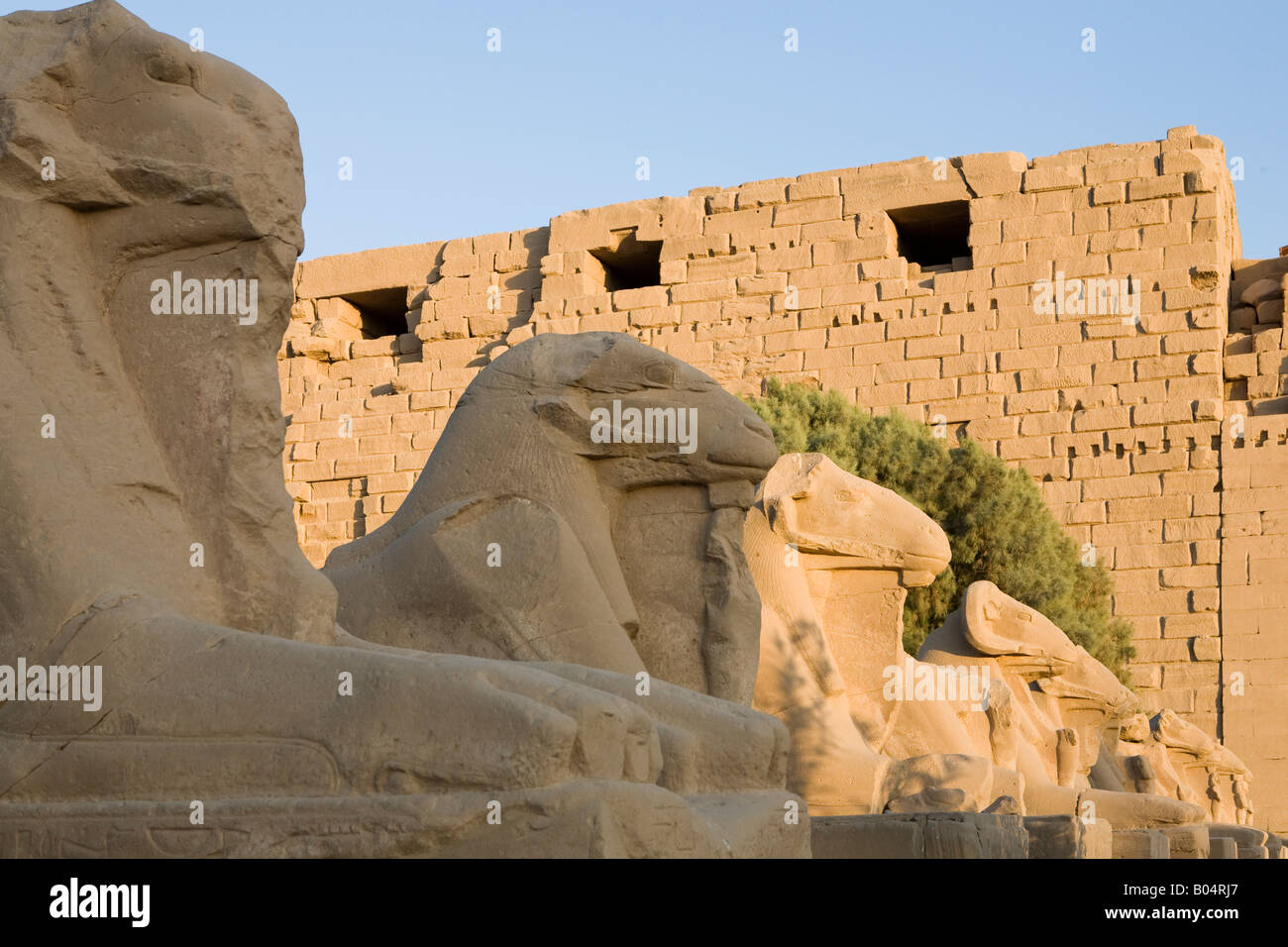 The Avenue Of Sphinxes And The First Pylon At Karnak Temple Luxor Egypt