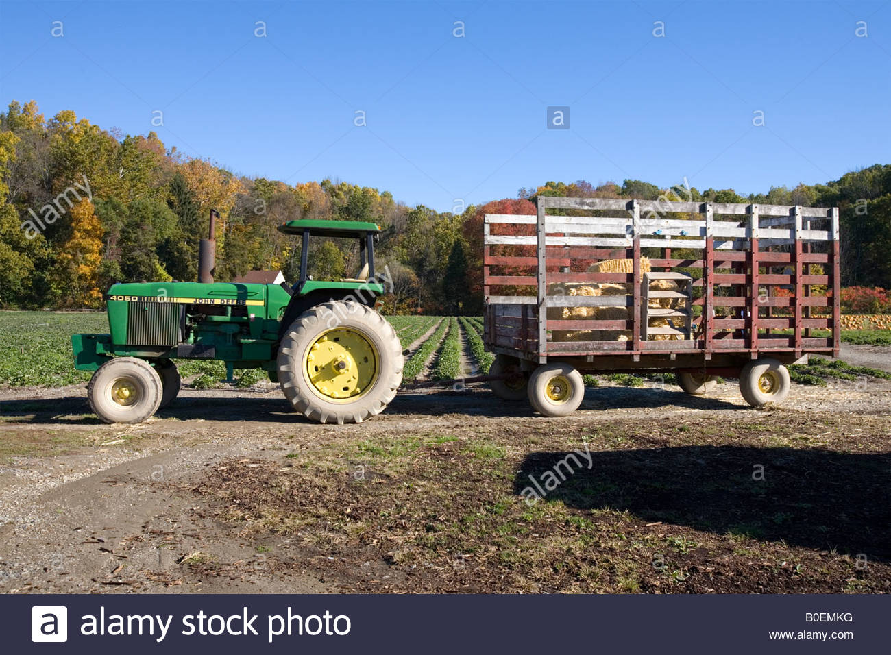 Farm tractor pulling hay trailer for hay ride Stock Photo, Royalty Free