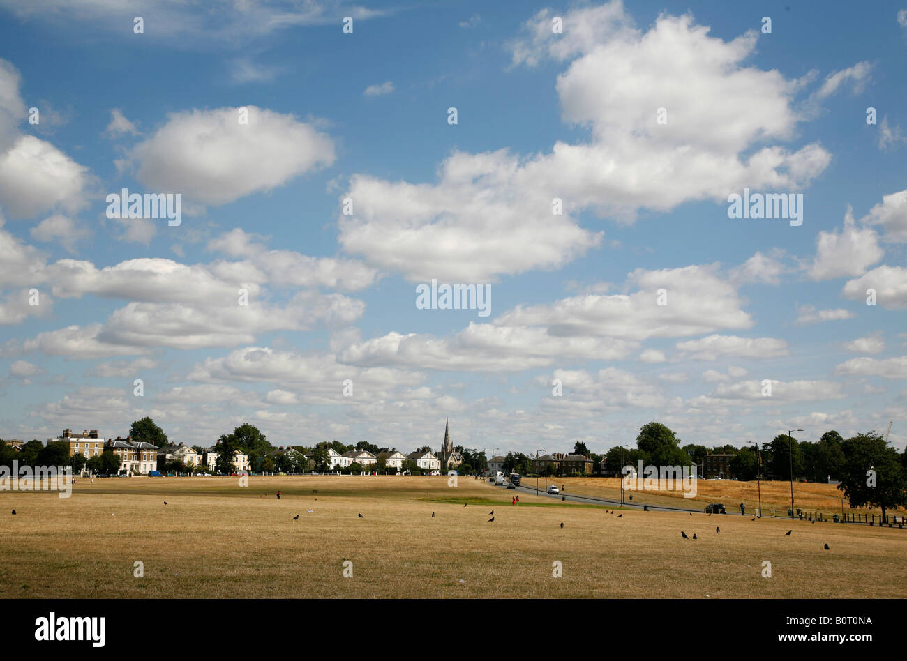 Blackheath, London Stock Photo 17737814 Alamy