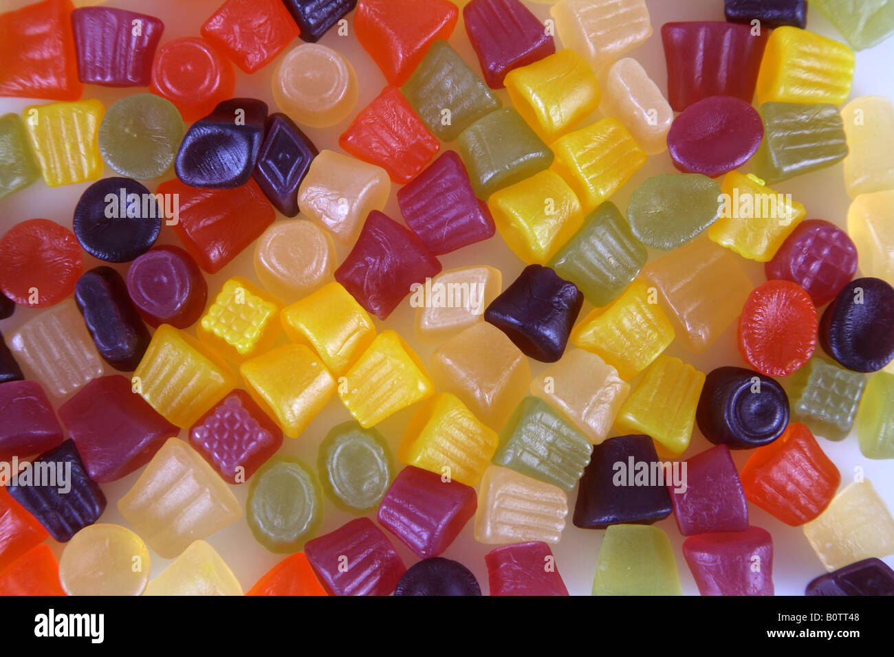 Heavy chest bukkake American version of midget gems sweets