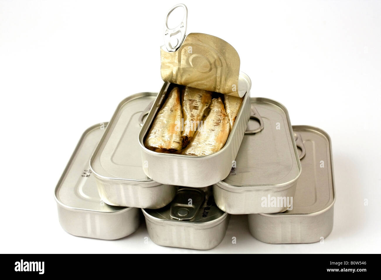 Canned sardines Stock Photo, Royalty Free Image 17763206 Alamy