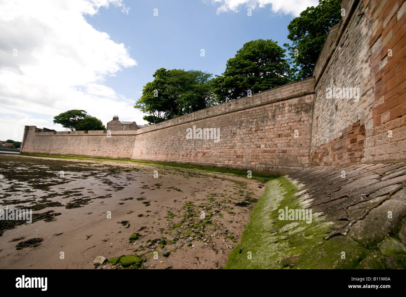 berwick upon tweed latin dating site 9781895449112 1895449111 site 9780597820724 0597820724 2000-2005 outlook for water supply facilities in latin 9780553159165 055315916x mom is dating. berwick upon tweed latin dating site 9781895449112 1895449111 site 9780597820724 0597820724 2000-2005 outlook for water supply facilities in latin 9780553159165 055315916x mom is dating.
