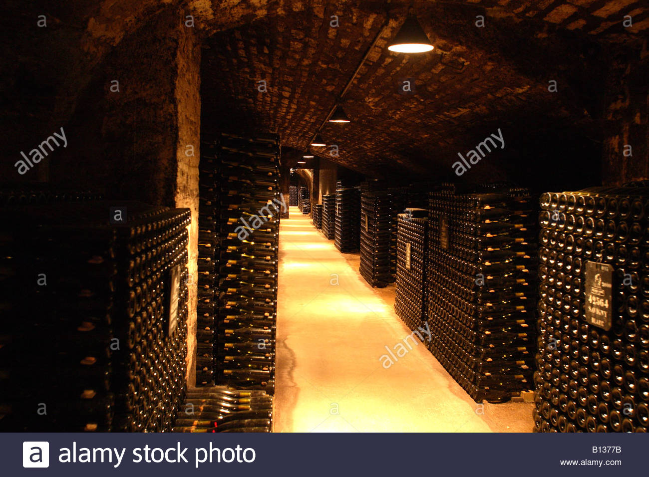 Cellar Of Patriarche Pere Et Fils Winery, Beaune, Burgundy Stock Photo