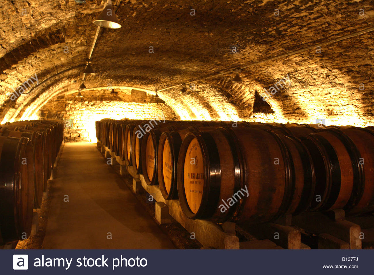 http://c8.alamy.com/comp/B1377J/cellar-of-patriarche-pere-et-fils-winery-beaune-burgundy-B1377J.jpg