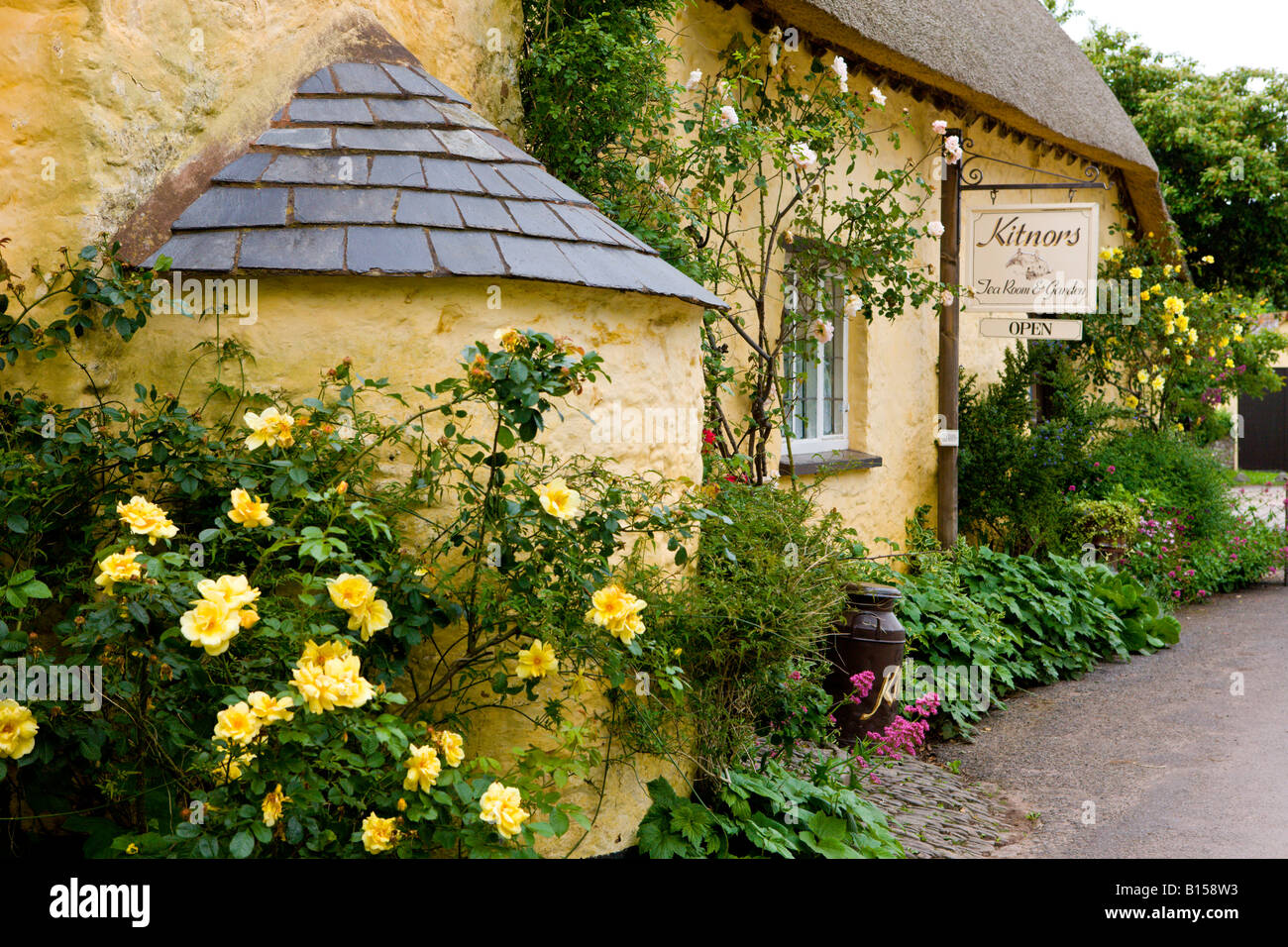 Bossington Tea Rooms Bossington Tea Rooms
