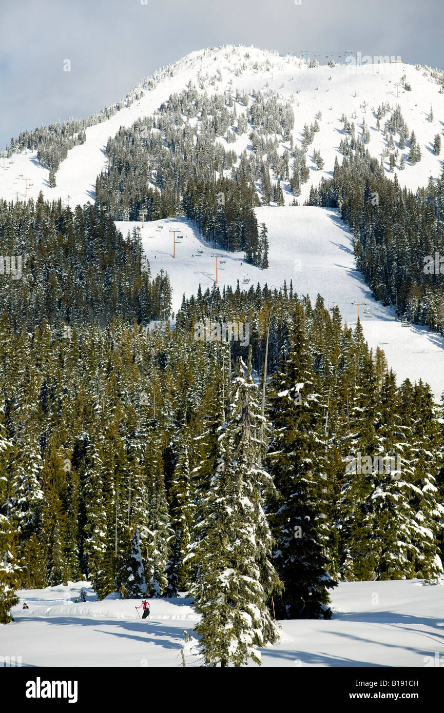 Mt. Washington and paradise meadows in foreground. Courtenay Stock