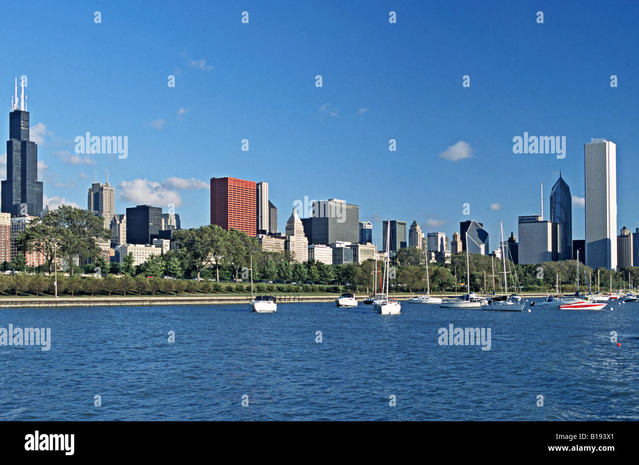LAKEFRONT Chicago Illinois City skyline and Lake Michigan Sears Tower