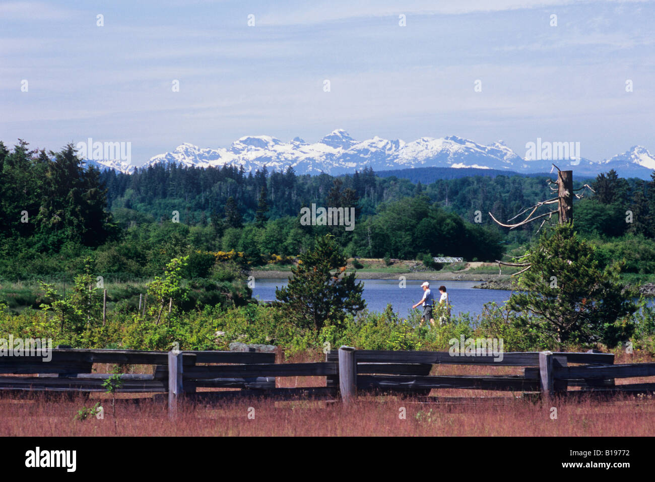 Island honda campbell river #3