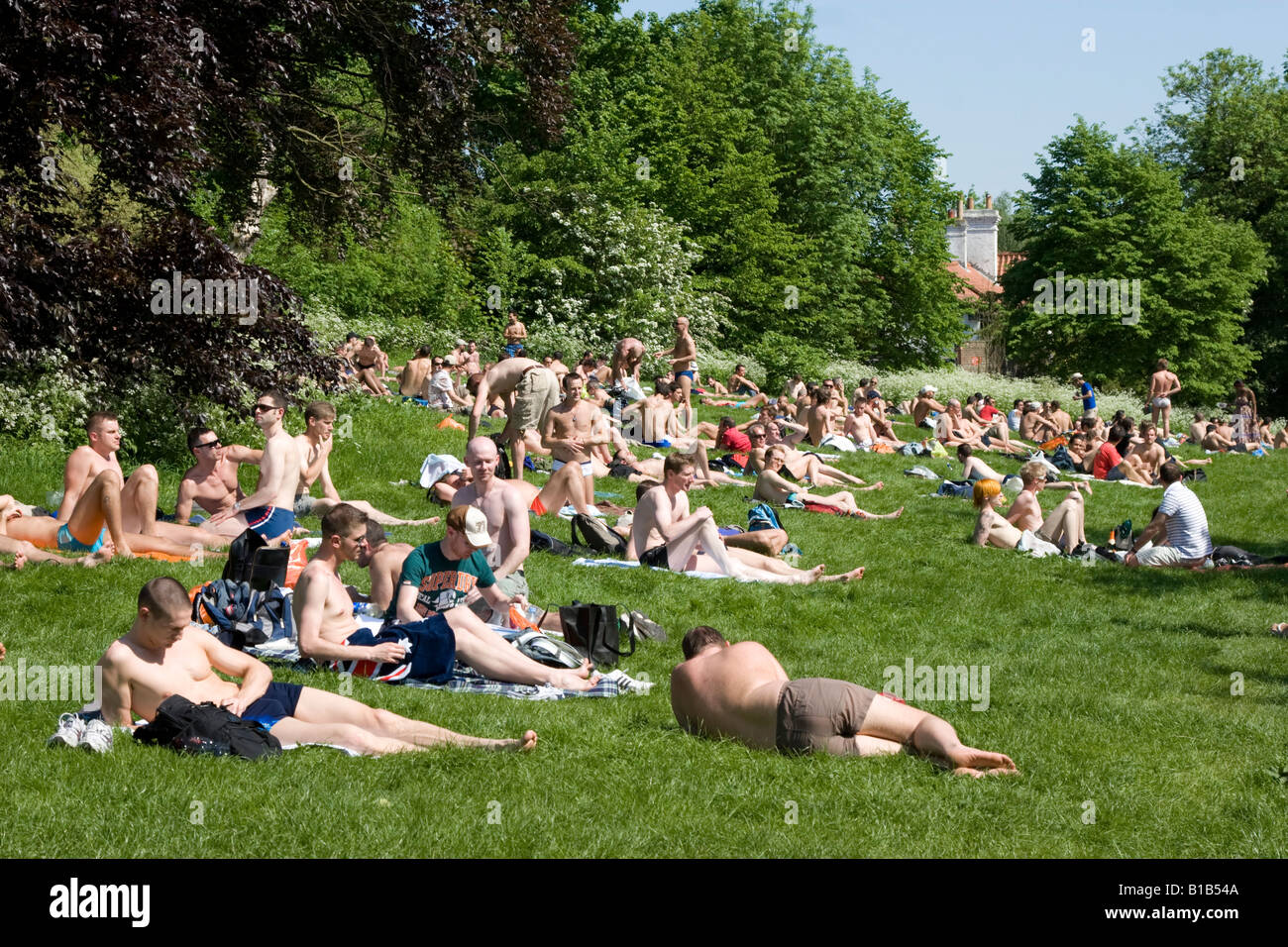 Gay Nude Sunbathing 66