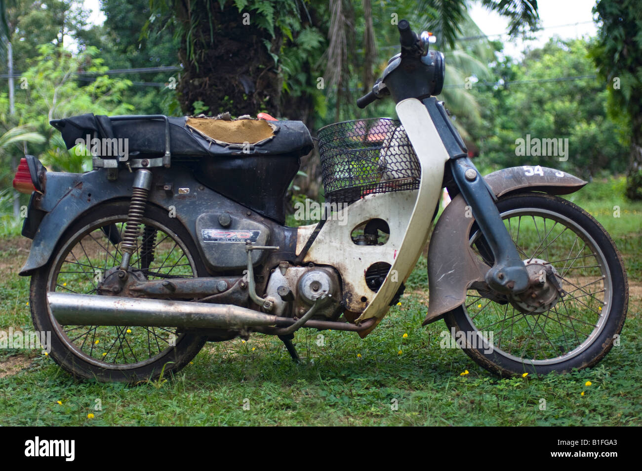 Old Motor Scooter Or Moped On A Palm Tree Plantation Near Lake Chini Malaysia Old Motor Scooter Or Moped On A Palm Tree Plantation Near Lake Chini Malaysia