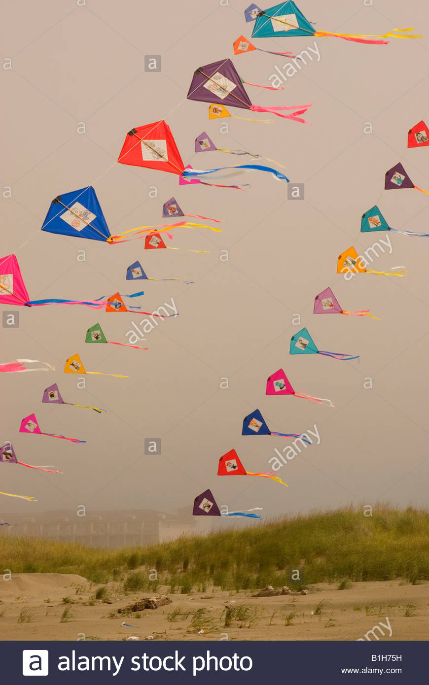 Kites flying in the sky, Sand and Sawdust Festival, Ocean Shores Stock