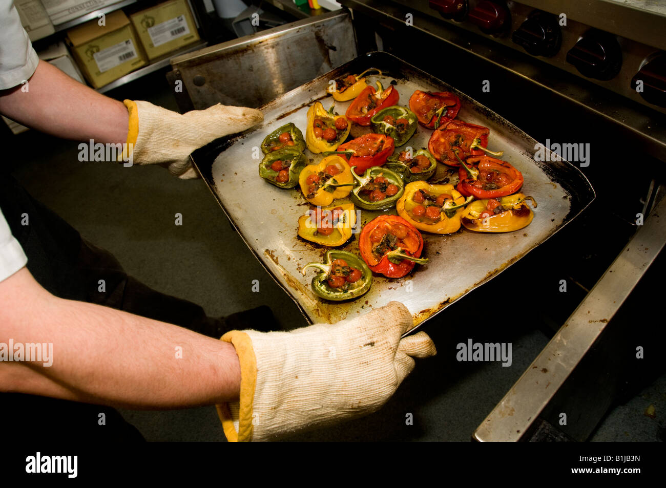 Restaurant Kitchen Gloves restaurant kitchen gloves wearing oven removing a tray of hot Restaurant Kitchen Gloves restaurant kitchen gloves wearing oven removing a tray of hot