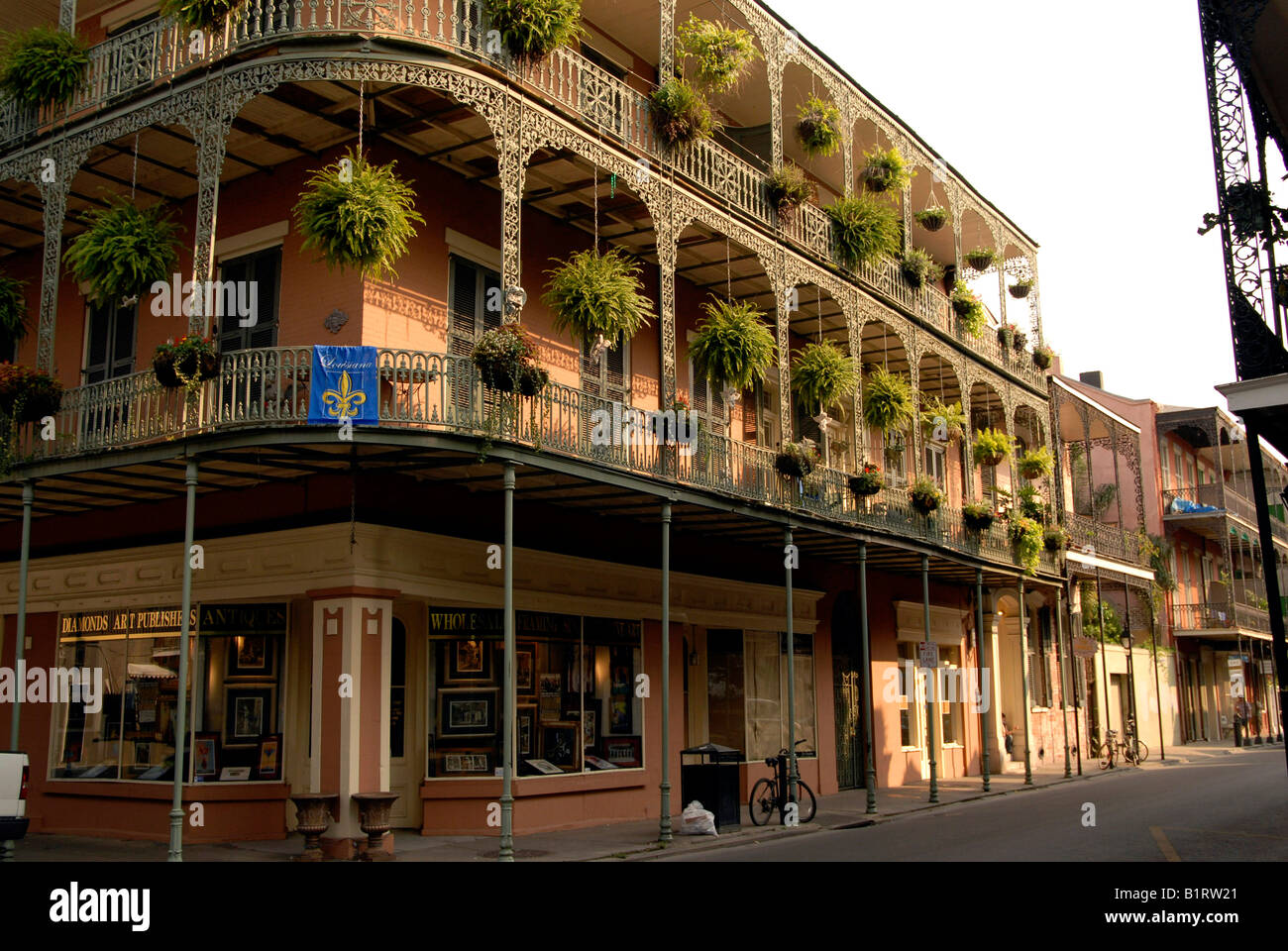 shemale anal veggie new orleans french quarter lesbians
