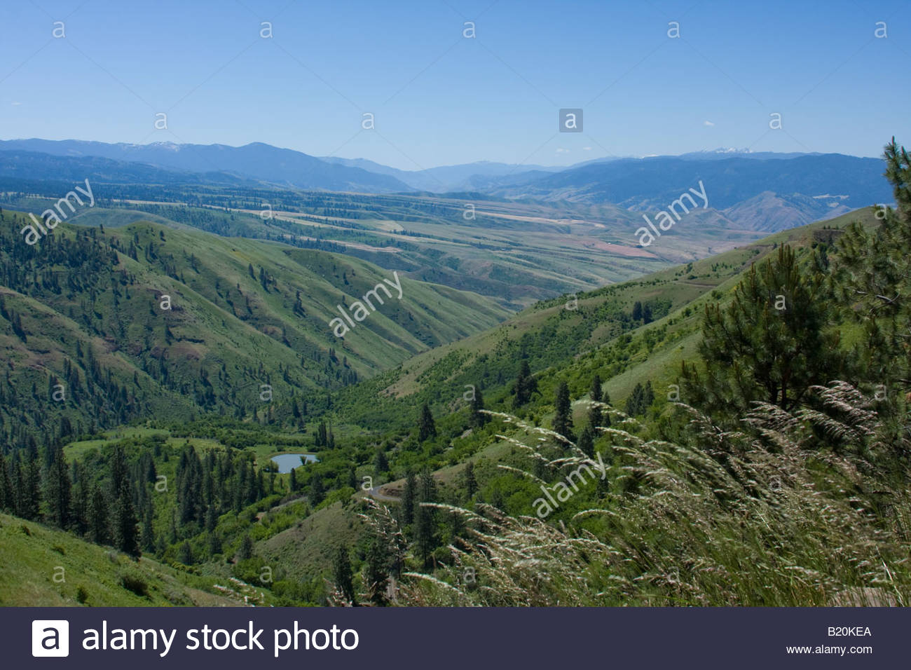 A hill top view out over the Salmon River valley, from White Bird Stock