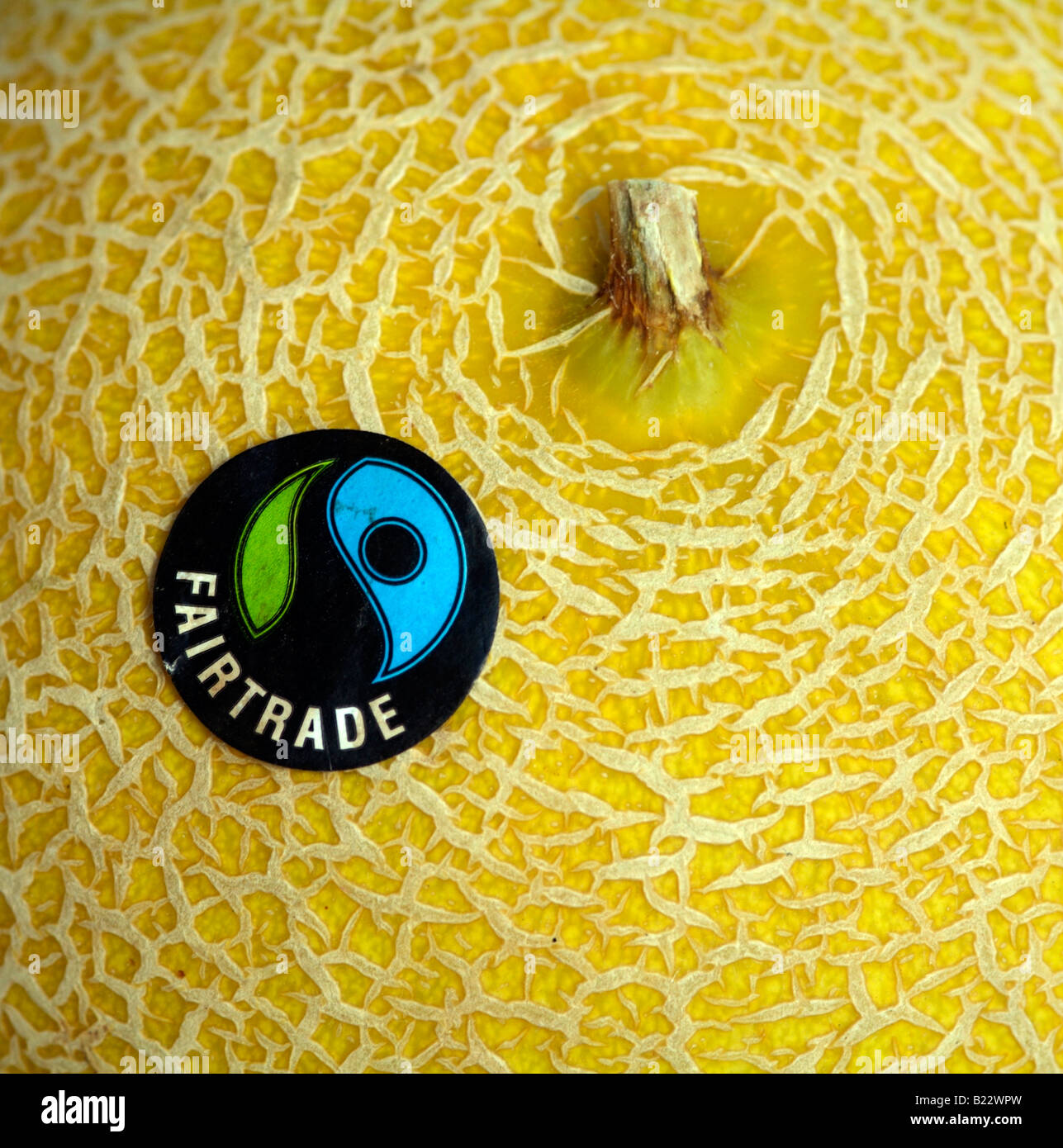 galia-melon-with-fairtrade-sticker-B22WP