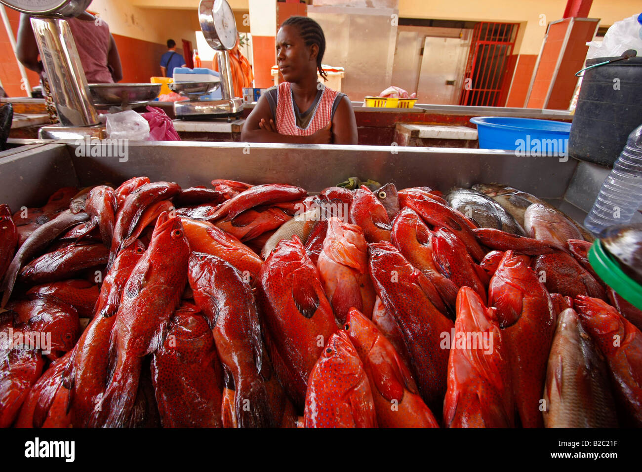Fish vendor selling fresh red fish at the fish market in the town of