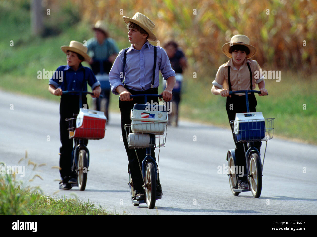 amish bike scooter