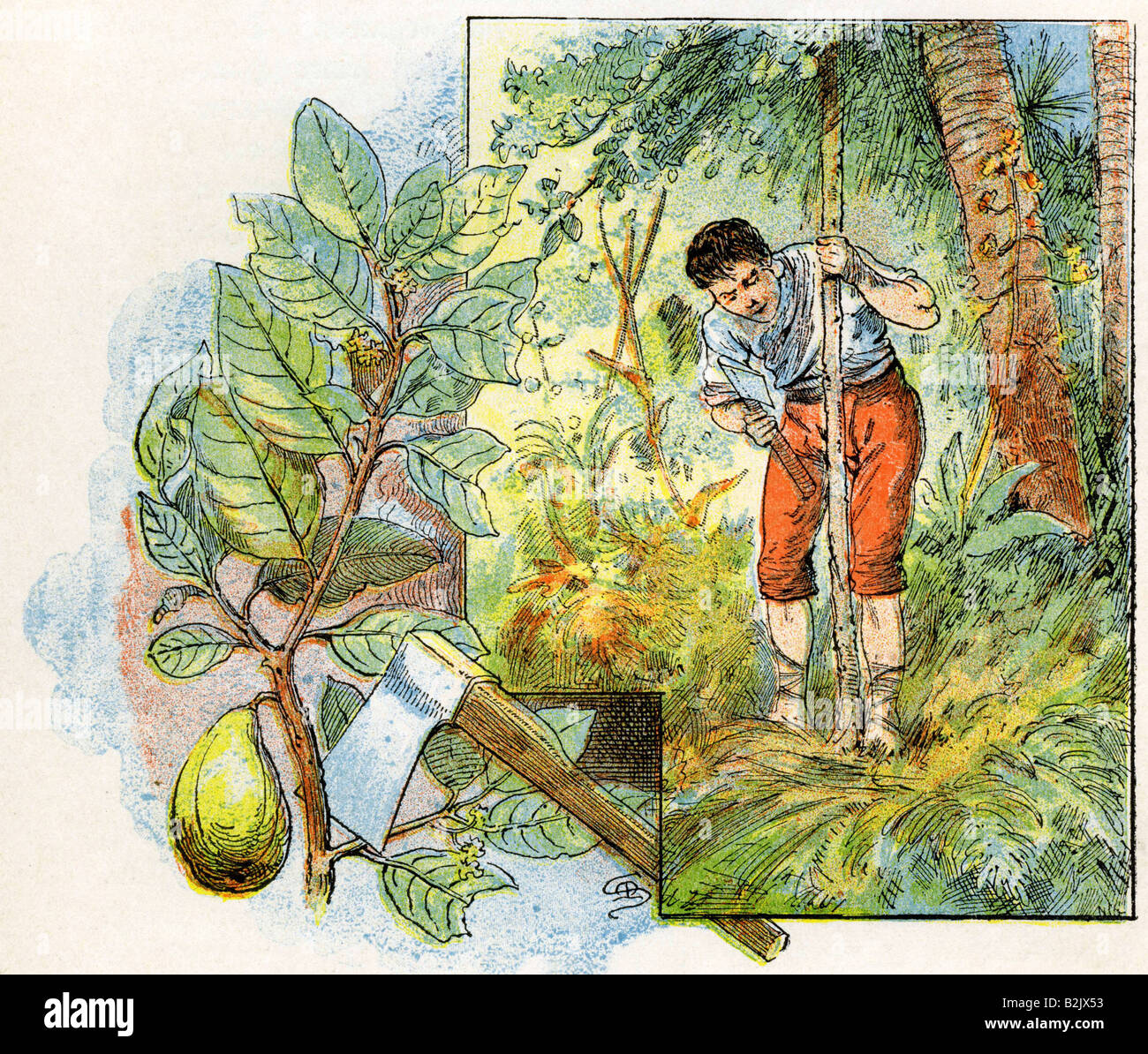 Robinson crusoe essay topics