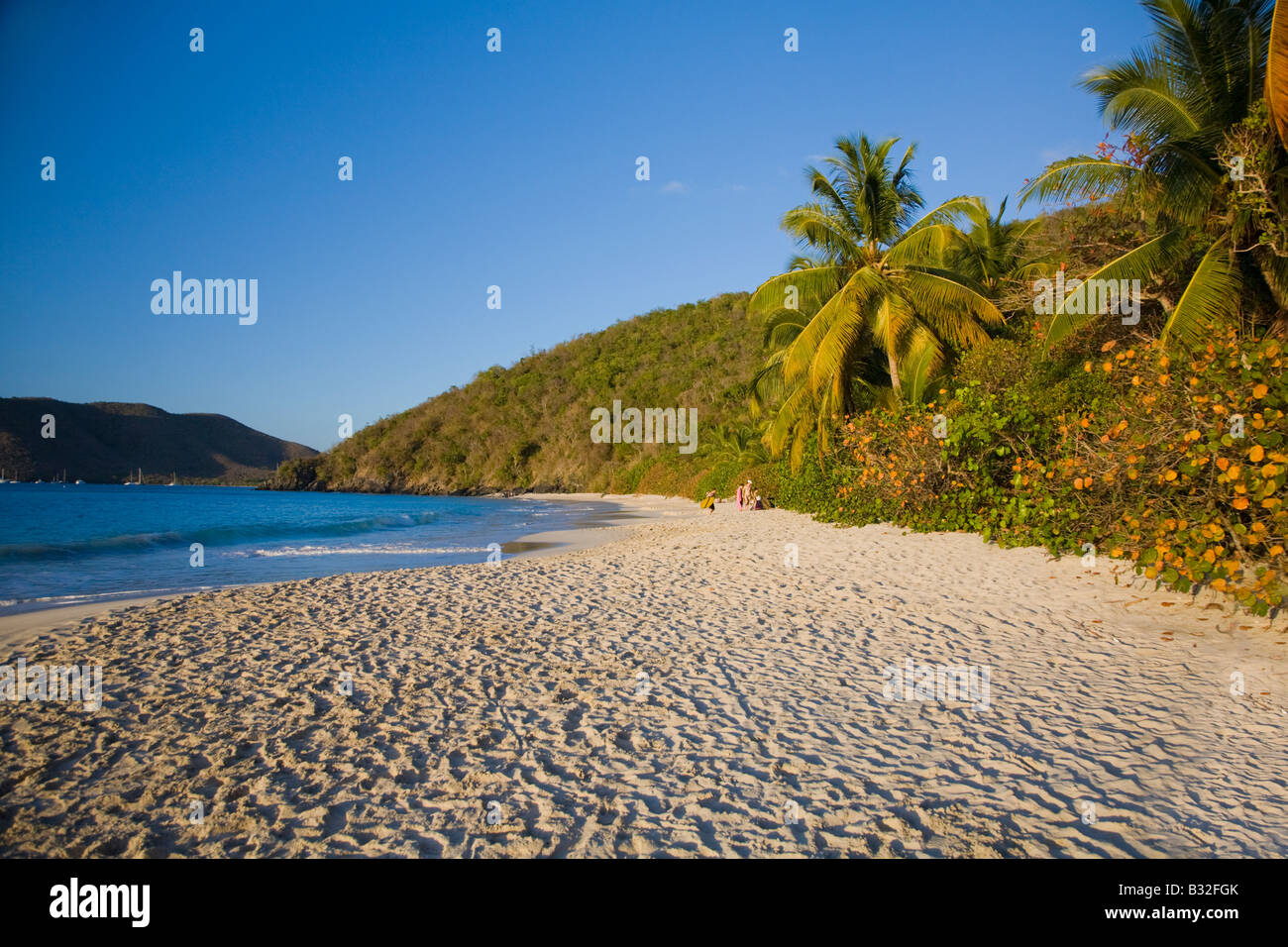 Trunk Bay Beach In The Virgin Islands National Park On The Caribbean