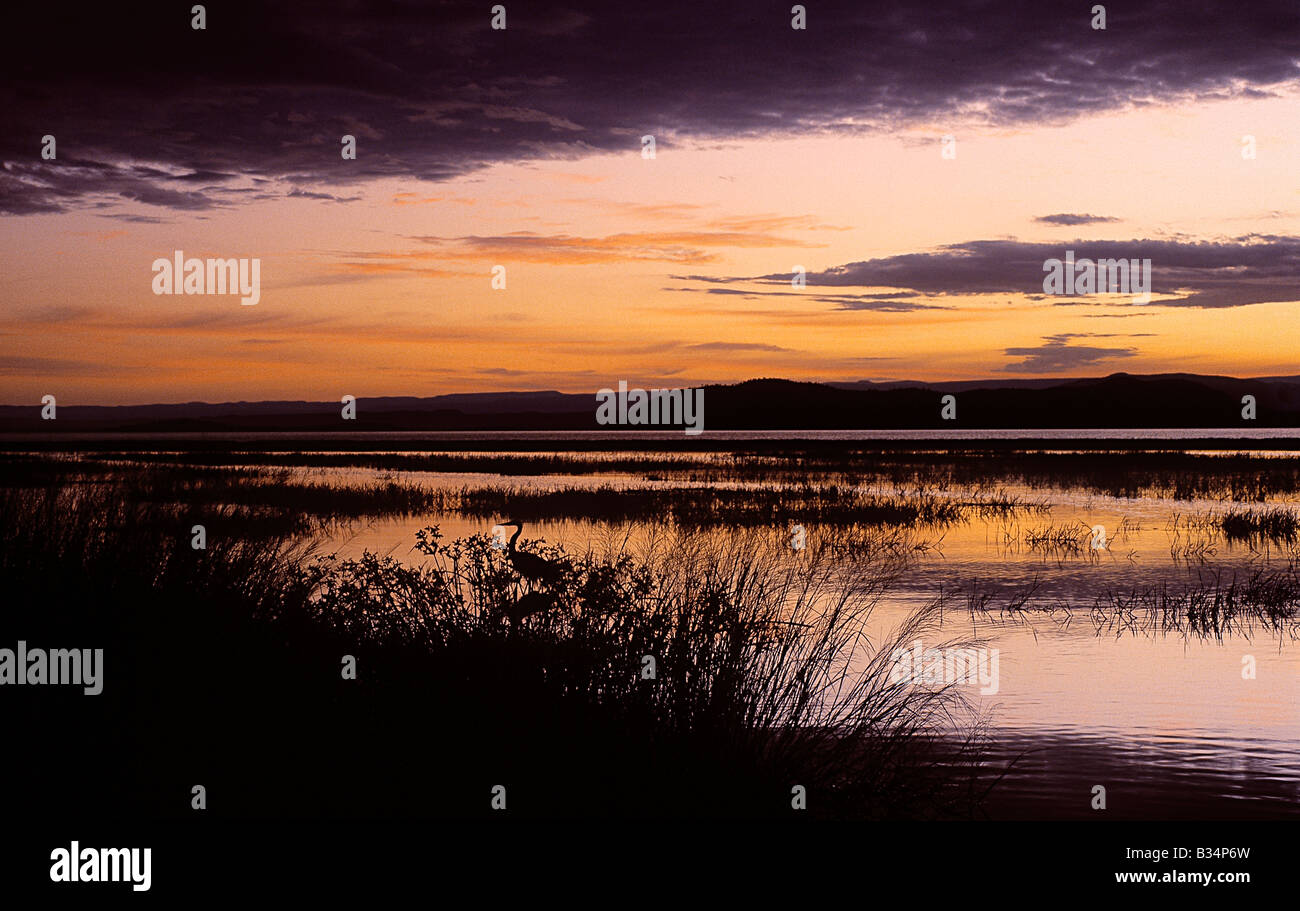 Kenya Baringo Lake Baringo Daybreak Over Lake Baringo With A Goliath