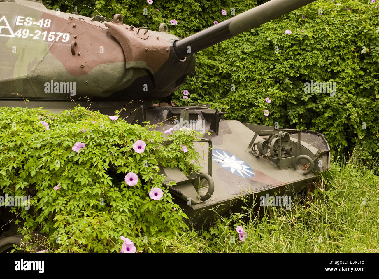 Military Tank Covered In Overgrown Flowers And Leaves On Kinmen Stock