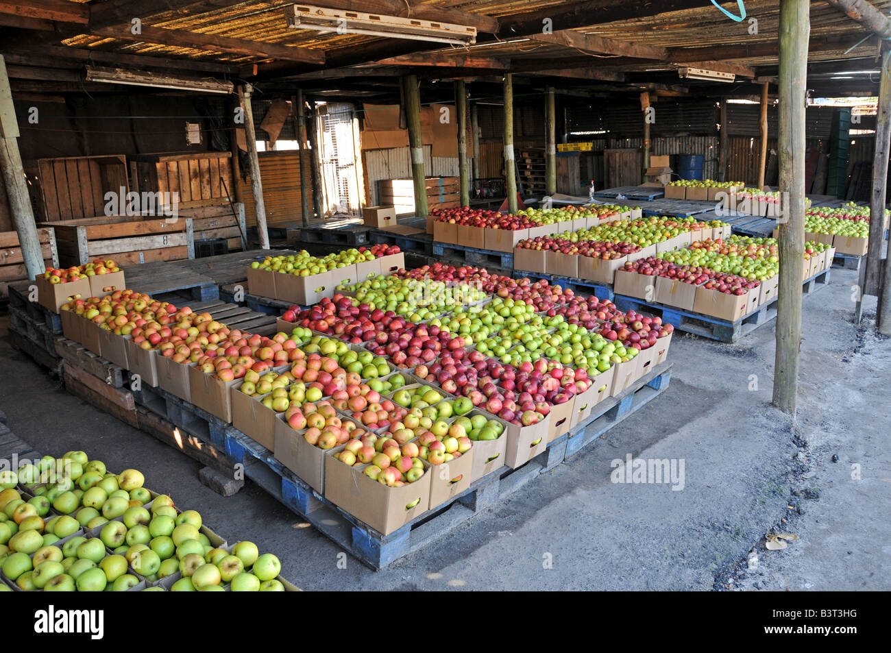 Informal Vegetable and Fruit Market in Epping, Cape Town Stock Photo