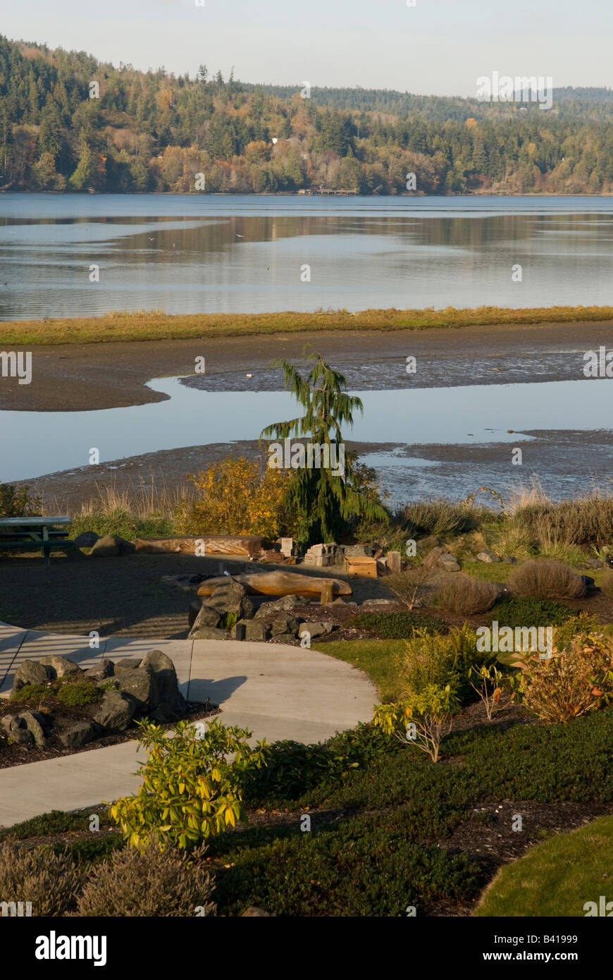 garden layout landscape dallas reasonably-priced garden trees