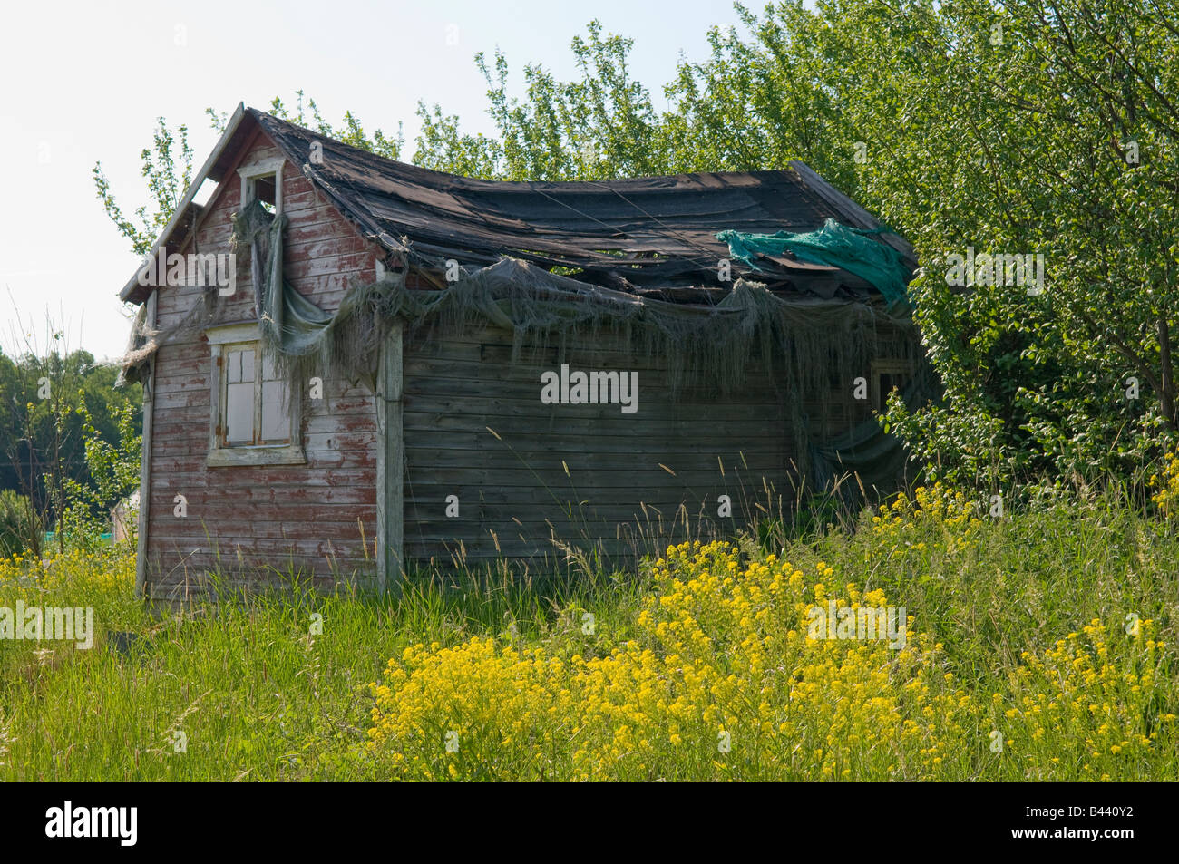 Broken shed Stock Photo 19757558 Alamy
