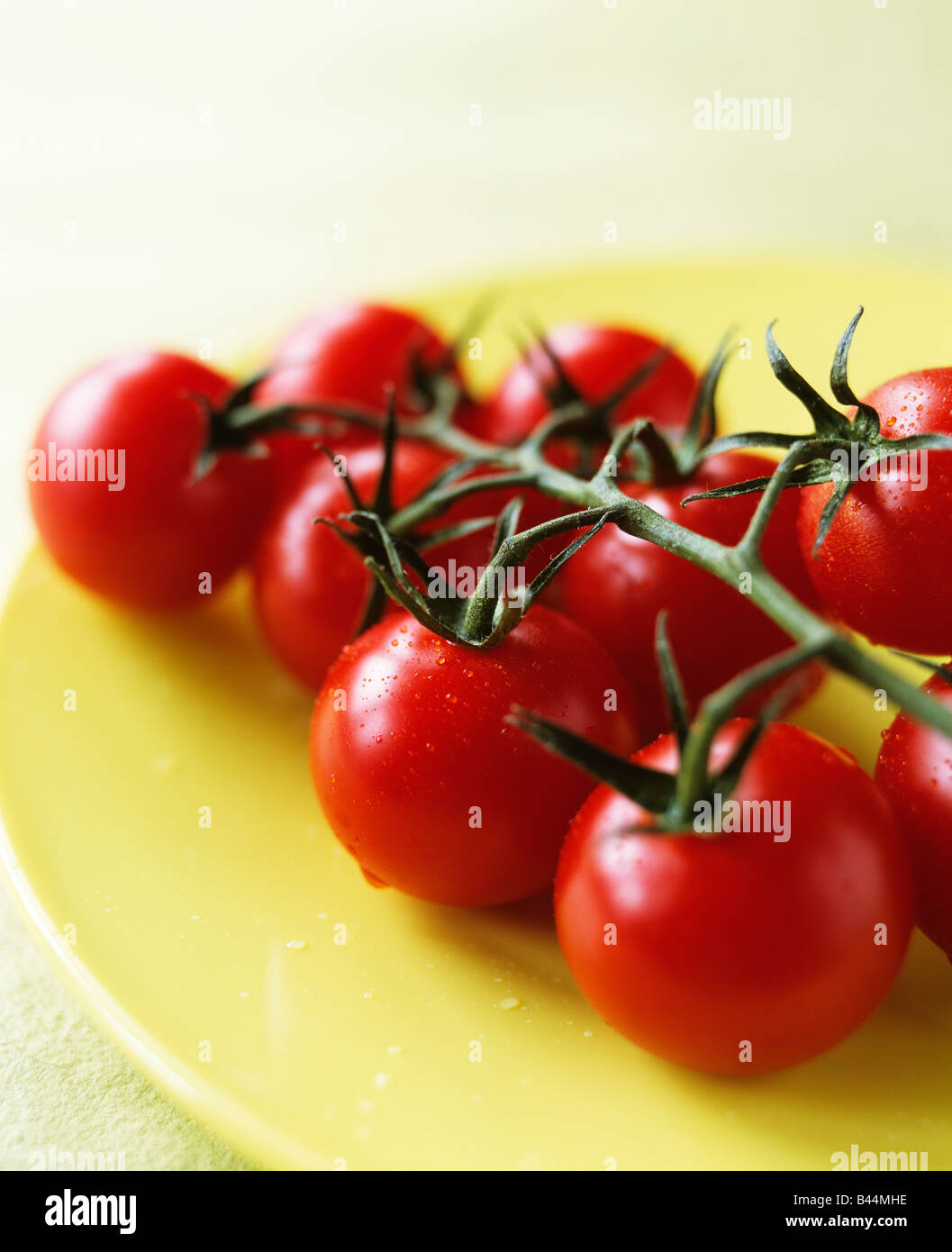 Bunch of tomatoes Stock Photo, Royalty Free Image 19772970 Alamy
