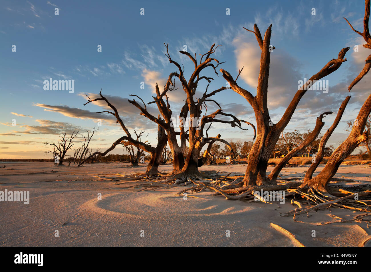 Lake Bonney Barmera Riverland South Australia Stock Photo, Royalty Free