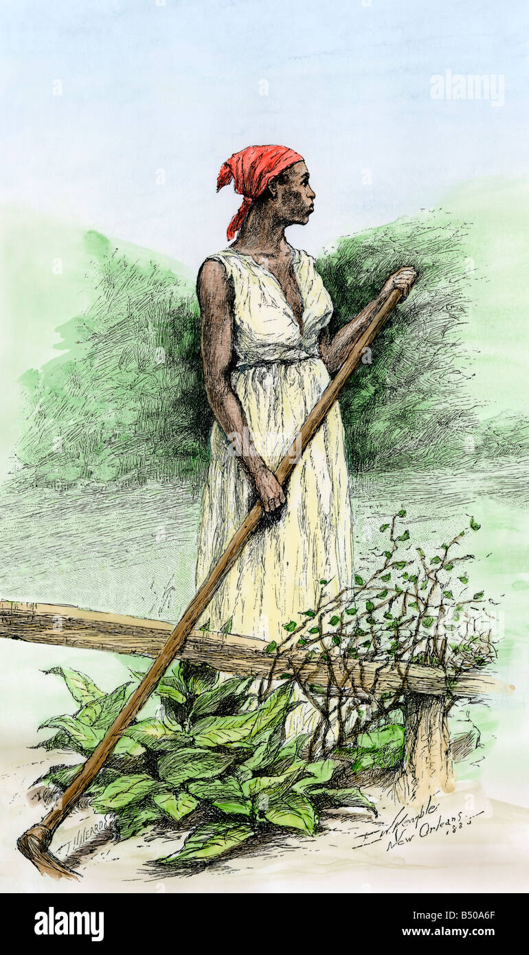 Slave woman hoeing sugar plants on a plantation in Louisiana 1800s