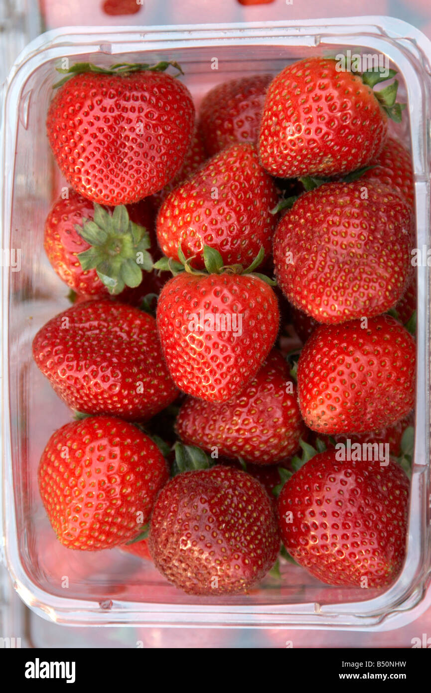 Punnet Of Strawberries For Sale At Borough Market London Stock Photo