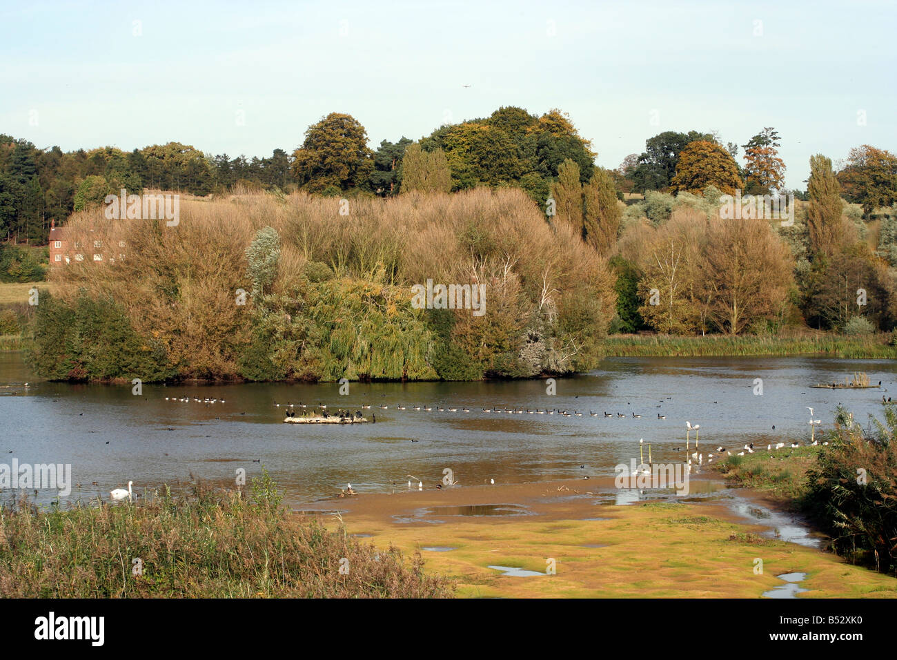 Great Amwell Nature Reserve Hertfordshire Stock Photo, Royalty Free