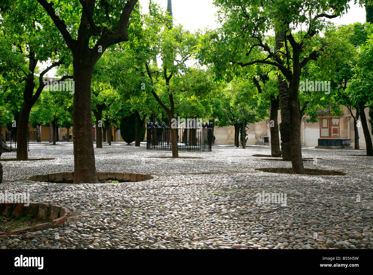 Patio de los Naranjos Orange Tree Courtyard, inside the Mezquita