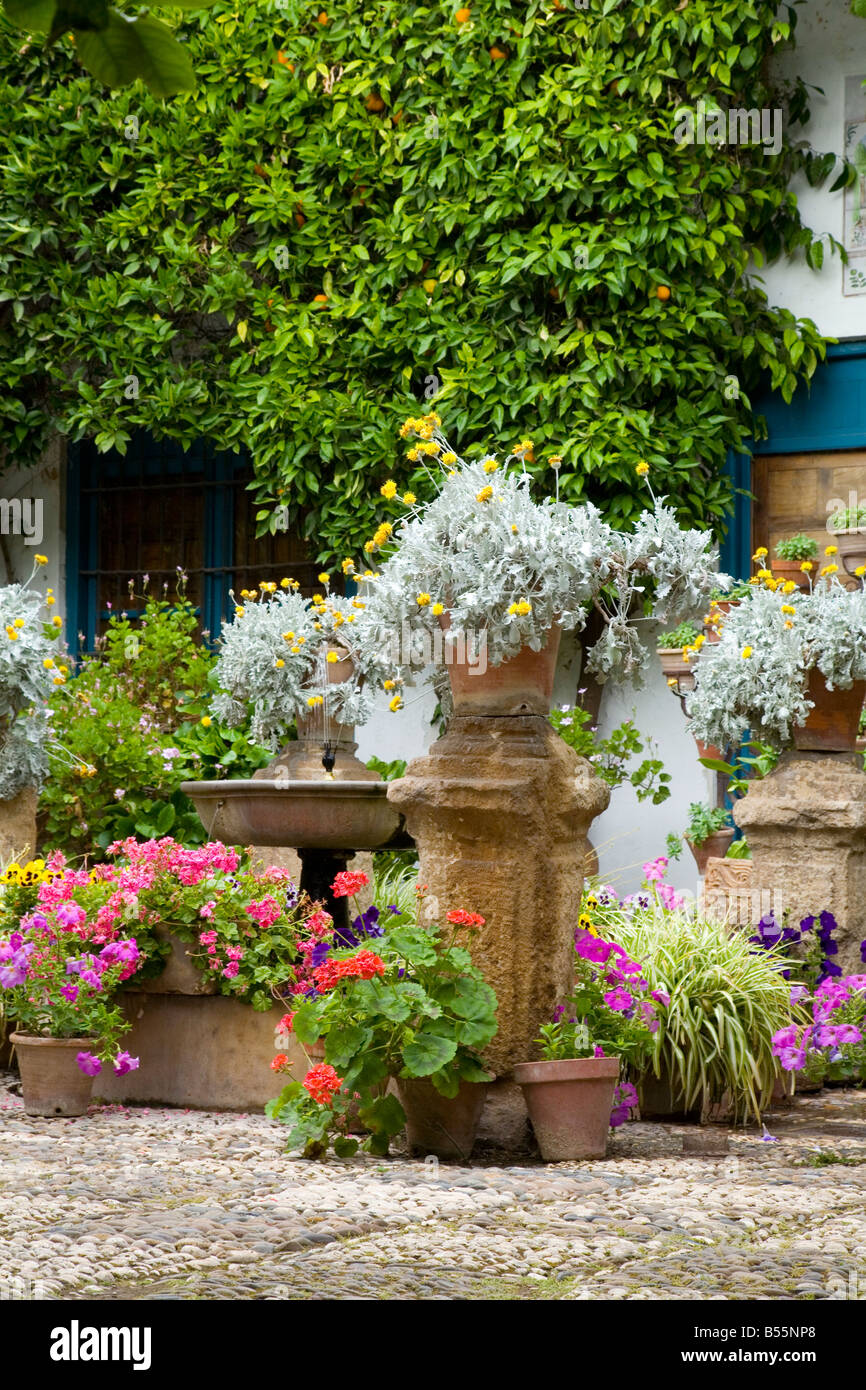 Plant pots in a Mediterranean courtyard garden part of The Festival