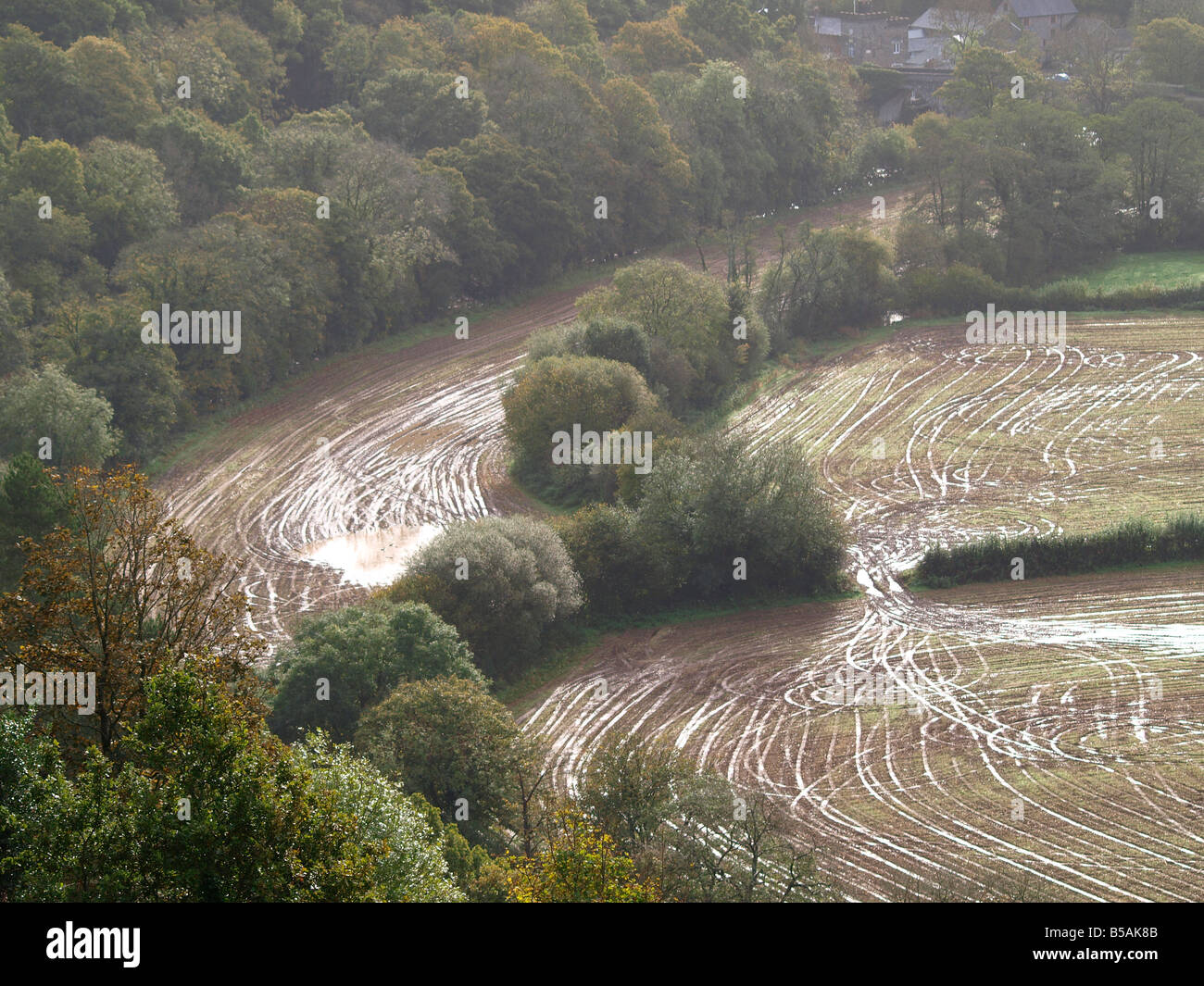 Waterlogged Farmed Fields Surrounded By Trees And Bushes Stock Photo