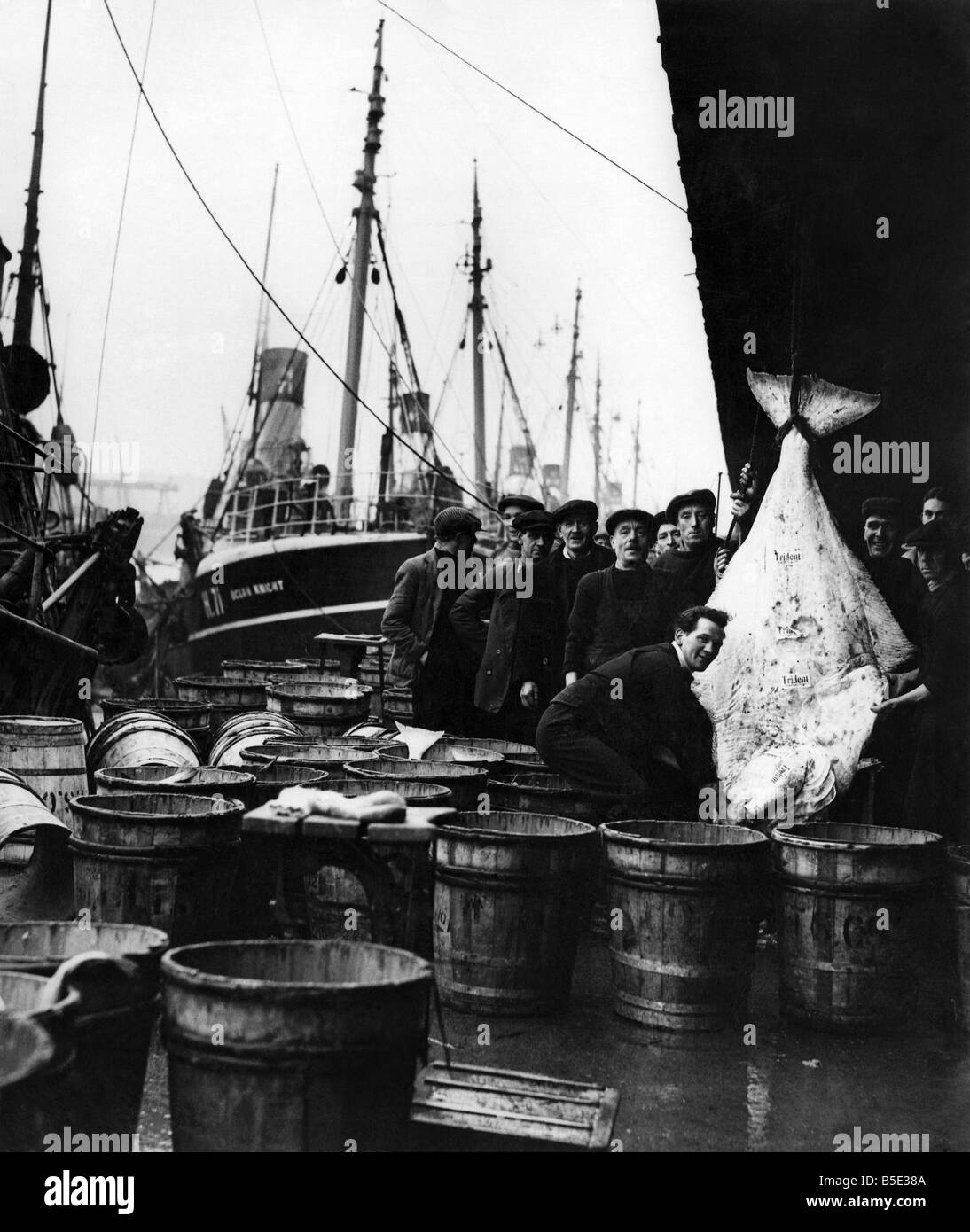 Fishing Industry at Hull. A fish market St Andrews Dock Stock Photo