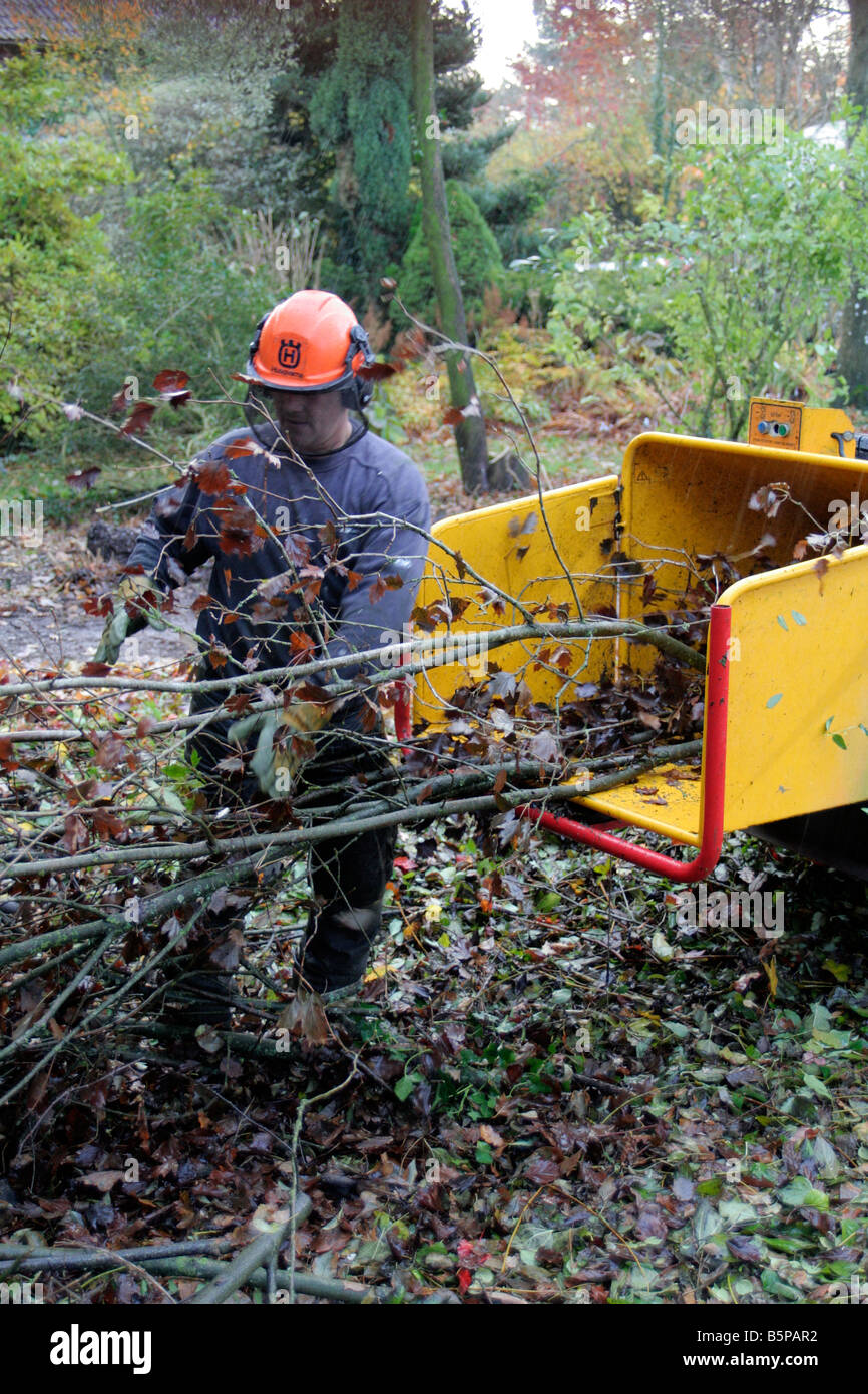 WOOD CHIPPER IN OPERATION Stock Photo, Royalty Free Image 20775078 Alamy