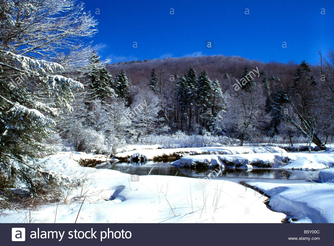 View along Highland Scenic Highway North Fork Cherry River Greenbrier