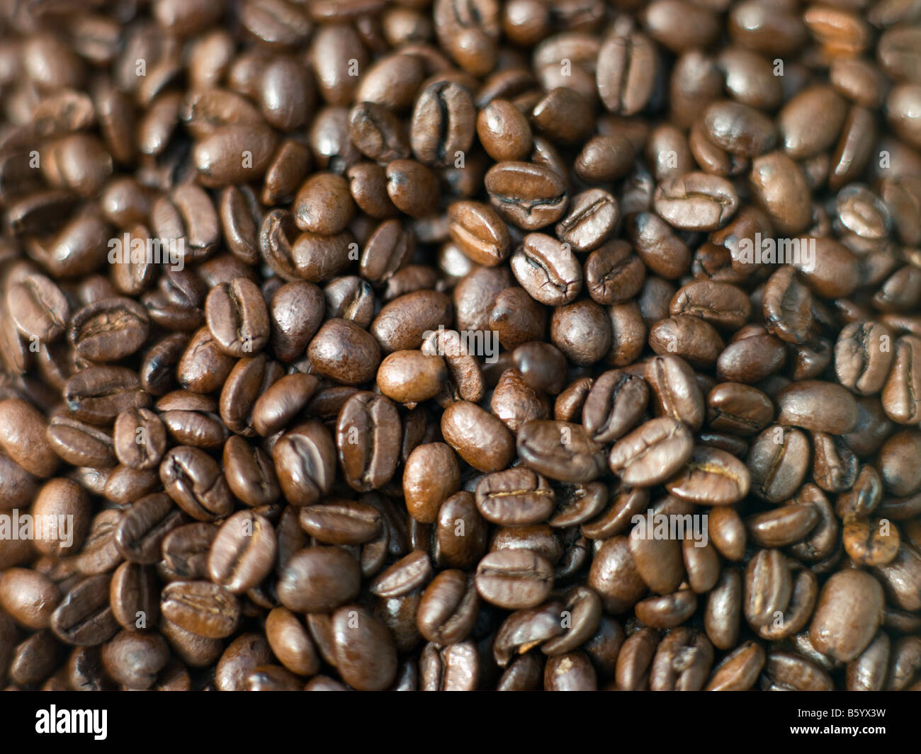 Horizontal Coffee Beans Hi Res Stock Photography And Images Alamy