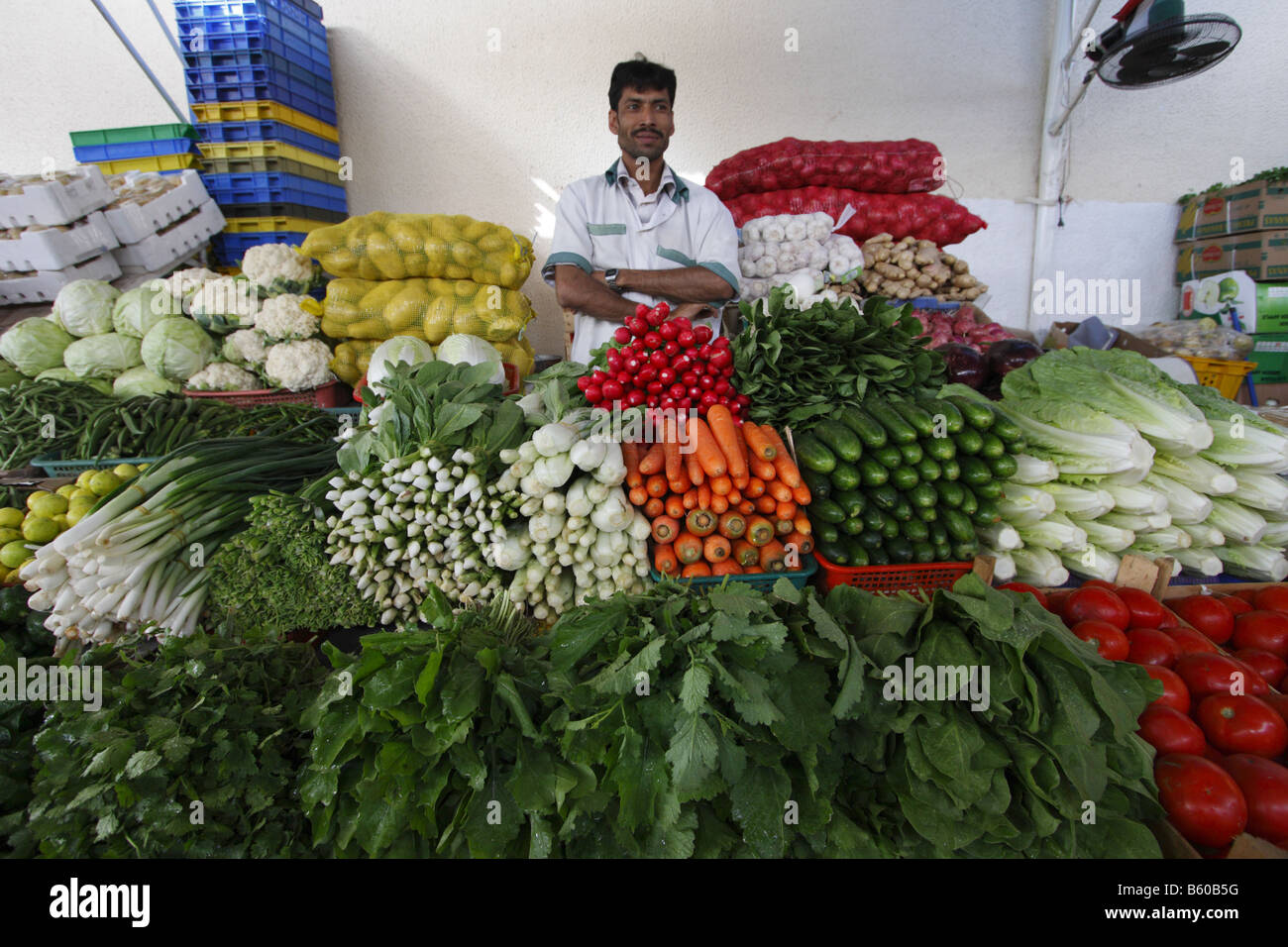 A VEGETABLE SHOP IN DUBAI Stock Photo, Royalty Free Image 20907084 Alamy