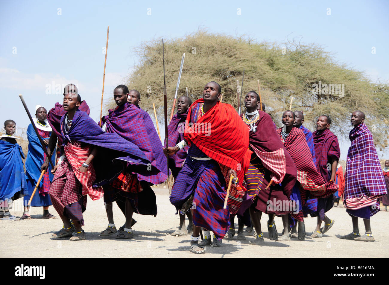 Massai Doing A Traditional Dance In The Village Of Kiloki Serengeti