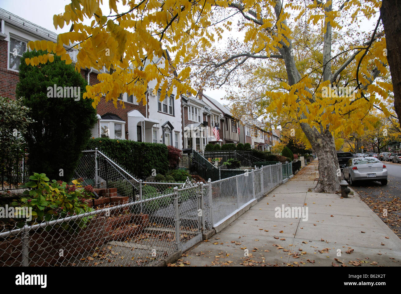 Suburban homes on a leafy street in Astoria Queens New York America Stock Photo, Royalty Free