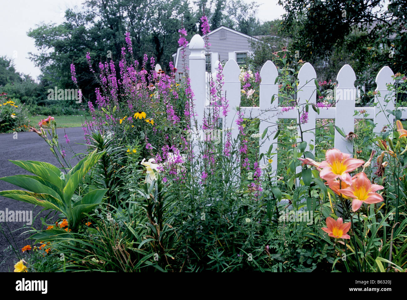 White Picket Fence House New England High Resolution Stock Photography